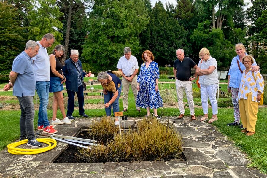 Lionsgruppe staunt über Pflanzenvielfalt