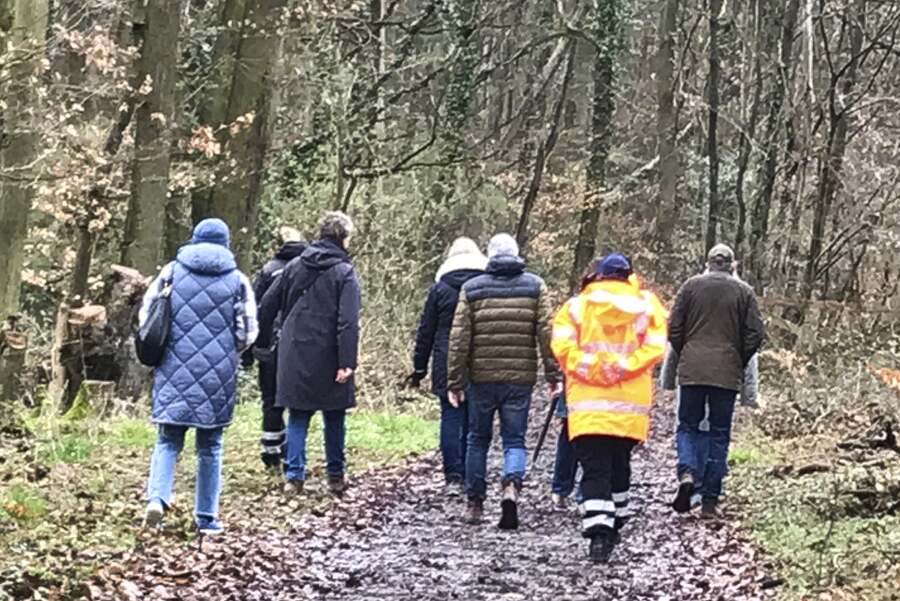 Menschen von hinten,  auf dem Weg aus dem Wald  heraus