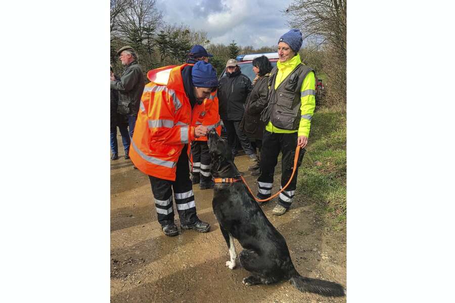 Gelehriger Hund erhält Belohnung