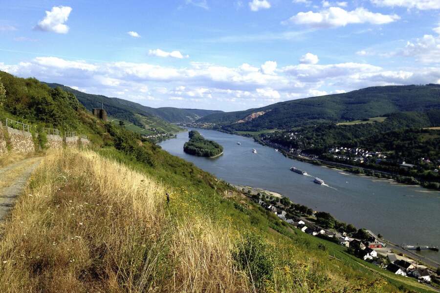 Blick auf den Fluss Rhein